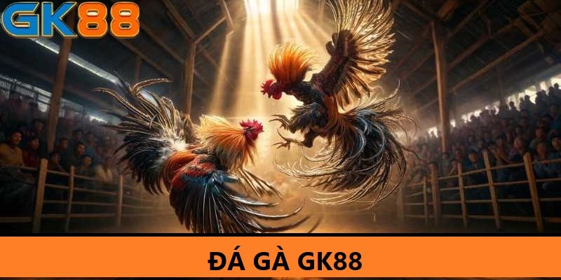 da-ga-gk88-anh-dai-dien